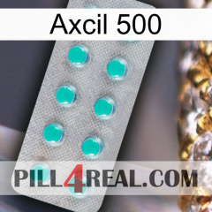 Axcil 500 28